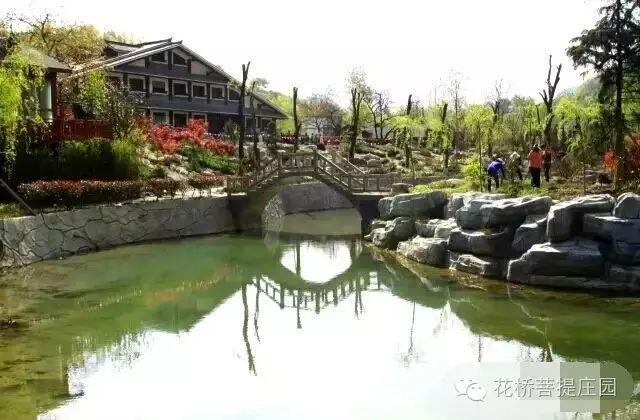 這個(gè)周末，隴南康縣花橋有大事要發(fā)生？