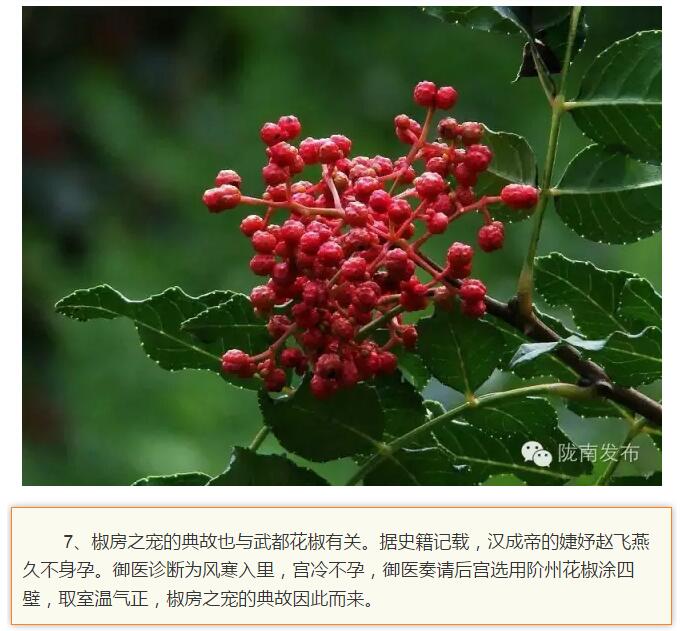 蘭渝鐵路最早由孫中山先生提出？在隴南，你不知道的事兒還有……