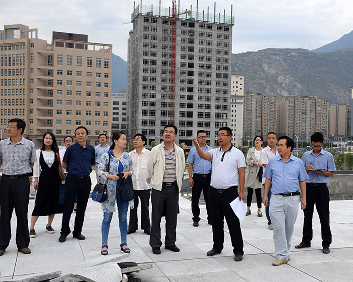 省、市聯(lián)合工作組蒞臨階州廣場檢查指導(dǎo)工作