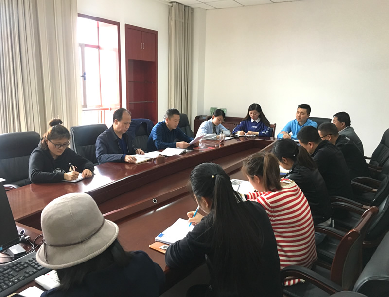 市龍江城鄉(xiāng)發(fā)展集團專題學習近期中央、省、市紀律檢查委員會議精神