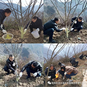 市龍江集團(tuán)在文縣橋頭鎮(zhèn)安子坡村開展“解難題、辦實(shí)事、送溫暖”活動(dòng)