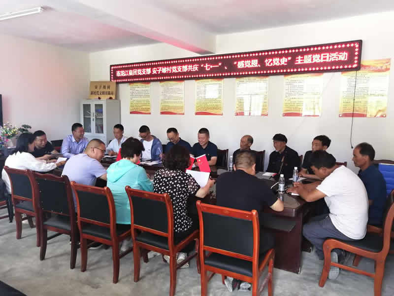 “感黨恩、憶黨史”，--市龍江城鄉(xiāng)發(fā)展集團公司開展慶祝建黨99周年主題黨日活動