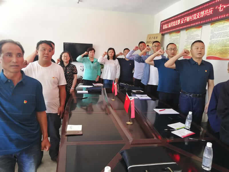 “感黨恩、憶黨史”，--市龍江城鄉(xiāng)發(fā)展集團公司開展慶祝建黨99周年主題黨日活動