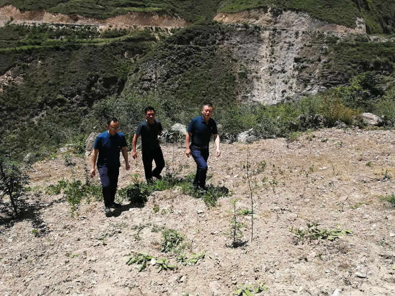 “感黨恩、憶黨史”，--市龍江城鄉(xiāng)發(fā)展集團公司開展慶祝建黨99周年主題黨日活動