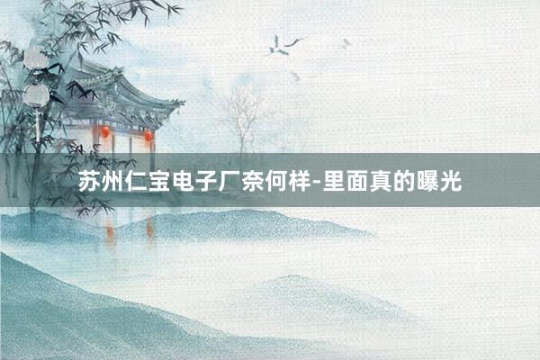 苏州仁宝电子厂奈何样-里面真的曝光